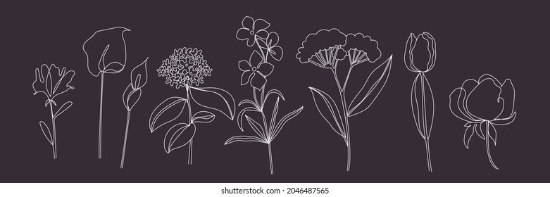 minimal botanical graphic sketch line art drawing, trendy tiny tattoo design, floral elements vector illustration