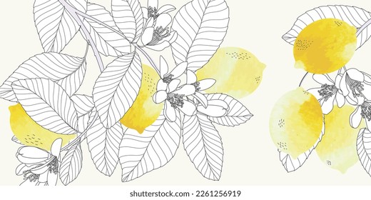 minimal botanical graphic sketch line art drawing in lemon citrus  and flower line art wallpaper background 