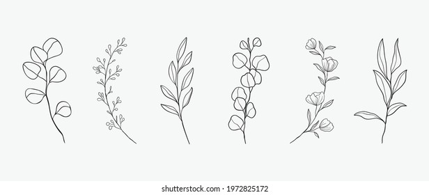 Minimal botanical hand drawing design for logo and wedding invitation. Floral line art.  Flower and leaves design collection for bouquets decoration, card and packaging background.