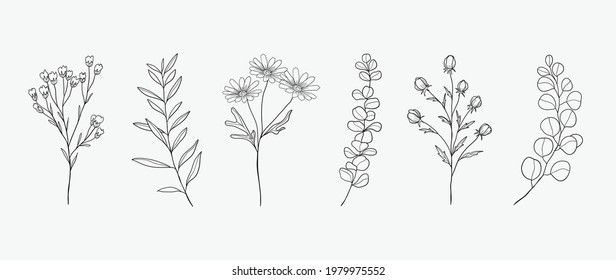 Minimal botanical hand drawing design for logo and wedding invitation. Floral line art.  Flower and leaves design collection for bouquets decoration, card and packaging background.