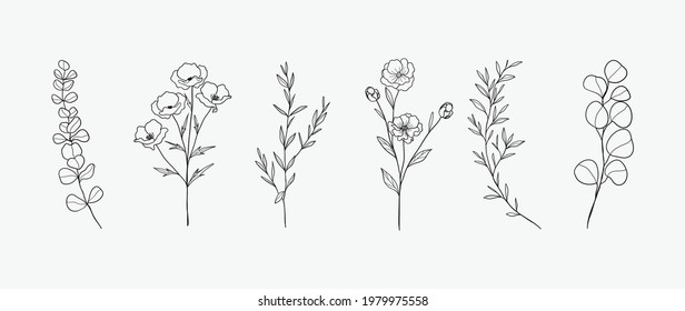 Minimale botanische Handzeichnung für Logo und Hochzeitseinladung. Blumenreihenkunst. Blumen- und Blätterdesign-Kollektion für Bouquets-Dekoration, Karten- und Verpackungshintergrund.