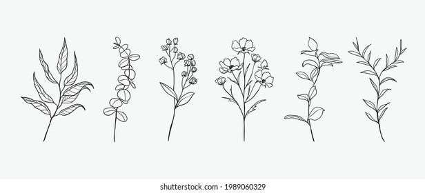 Minimal botanical hand drawing design for logo and wedding invitation. Floral line art.  Flower and leaves design collection for bouquets decoration, card and packaging background.