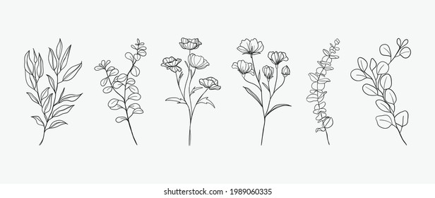Minimal botanical hand drawing design for logo and wedding invitation. Floral line art.  Flower and leaves design collection for bouquets decoration, card and packaging background.