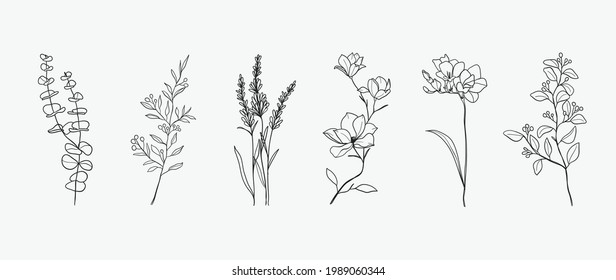 Minimal botanical hand drawing design for logo and wedding invitation. Floral line art.  Flower and leaves design collection for bouquets decoration, card and packaging background.