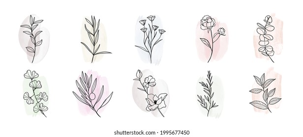 Minimal botanical hand drawing design for logo and wedding invitation. Floral line art.  Flower and leaves on watercolour background design collection for bouquets decoration, invite, packaging design