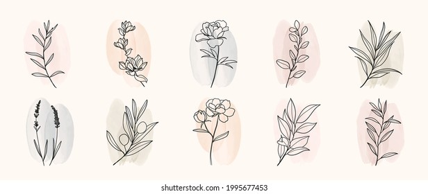 Minimal botanical hand drawing design for logo and wedding invitation. Floral line art.  Flower and leaves on watercolour background design collection for bouquets decoration, invite, packaging design