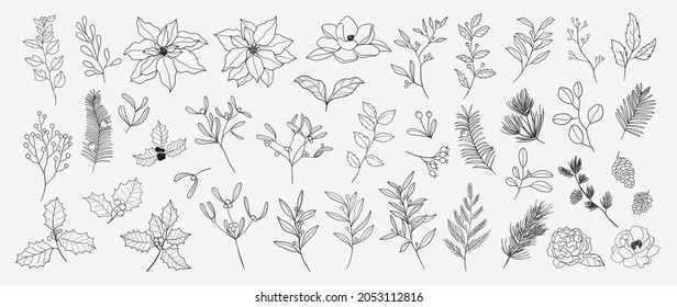 Minimal botanical hand drawing design for logo and wedding invitation. Spring and autumn Floral line art.  Flower and leaves design collection for bouquets decoration, card and packaging background.