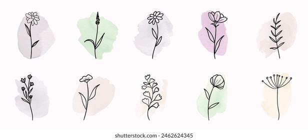 Diseño botánico mínimo del dibujo de la mano para el logotipo y la invitación de la boda. Flor y hojas en la colección de diseño de fondo de acuarela para la decoración de ramos, embalaje, marca.