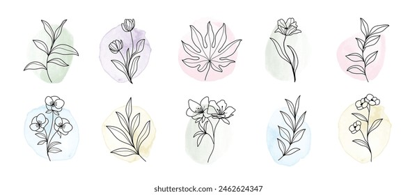 Minimal botanical hand drawing design for logo and wedding invitation. Floral line art. Flower and leaves on watercolor background design collection for bouquets decoration, packaging, branding.