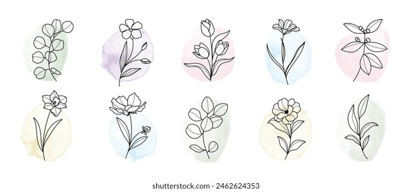 Minimal botanical hand drawing design for logo and wedding invitation. Floral line art. Flower and leaves on watercolor background design collection for bouquets decoration, packaging, branding.