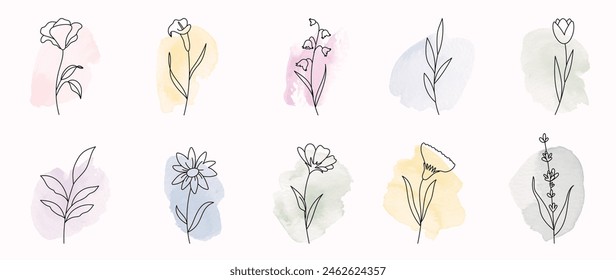 Minimal botanical hand drawing design for logo and wedding invitation. Floral line art. Flower and leaves on watercolor background design collection for bouquets decoration, packaging, branding.