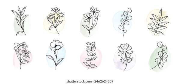 Diseño botánico mínimo del dibujo de la mano para el logotipo y la invitación de la boda. Flor y hojas en la colección de diseño de fondo de acuarela para la decoración de ramos, embalaje, marca.