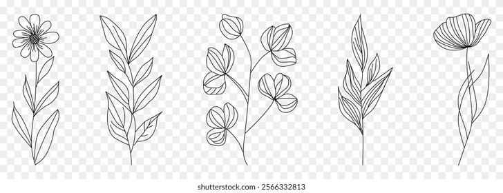 Minimal botanical hand drawing logos. Vector illustration isolated on transparent background
