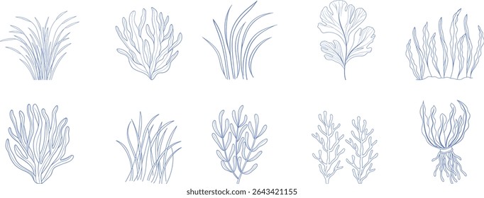 Minimal botanical line art set of seaweed, grass, and aquatic plants, ideal for nature, ocean, organic design, underwater scenes, and eco-themed creative projects or wall prints.