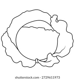 Minimal cabbage vegetable line art vector illustration isolated on transparent background. Ideal for icons, logos and coloring pages.