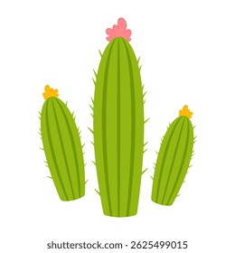 Minimal cactus illustrations with tall shapes and blooming flowers
