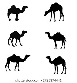 Minimale Kamelsilhouetten einzeln auf weißem Hintergrund, die Wüstenwild, Reisen, Ausdauer, Kultur und traditionelle Tiersymbolik darstellen. Perfekt für Logos, Poster, Tattoos, Lehrmaterialien, Hintergründe, Wandbilder, Drucke, Branding und Grafikdesigns zum Thema Natur.