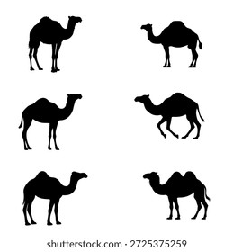 Minimale Kamelsilhouetten einzeln auf weißem Hintergrund, die Wüstenwild, Reisen, Ausdauer, Kultur und traditionelle Tiersymbolik darstellen. Perfekt für Logos, Poster, Tätowierungen, Unterrichtsmaterialien, Hintergründe, Wandbilder, Drucke, Branding,