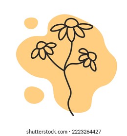 Minimal chamomile line art. Trendy hand drawn simple daisy flower outline vector illustration on colorful geometric shape