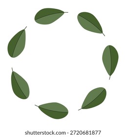 Marco de hoja circular mínimo con follaje verde. Diseño de corona botánica de Vector plano, perfecto para marcas ecológicas, invitaciones o empaques de productos naturales.