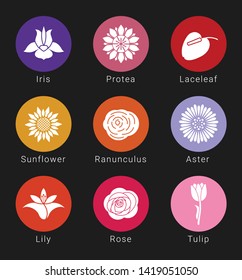 Minimal Concept Different Flowers icon with Names