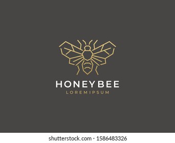 Minimal creative honey bee logo. Modern simple linear bee icon. Vector graphic template.