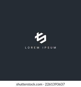 Minimal creative unique letter TS ST logo monogram icon design vector element.