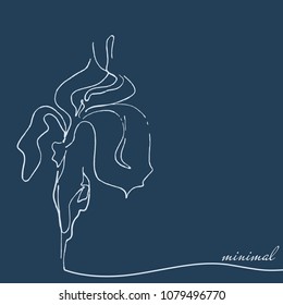 Minimal crocus illustration. White line crocus isolated on blue background.