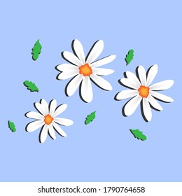 Ilustraciones minimales de flores de margarita, ilustraciones vectoriales aisladas.	