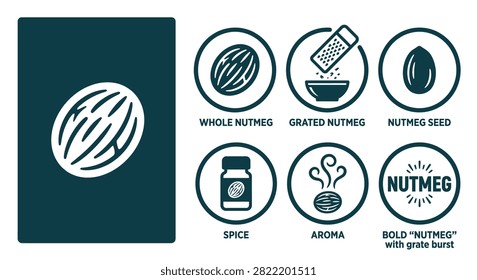 Minimal dark teal nutmeg icon set featuring flat vector designs of whole nuts, grated spice, seeds, and aroma symbols. Ideal for culinary branding, kitchen menus, and packaging.