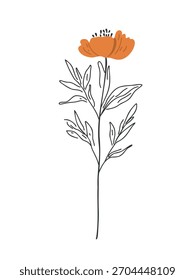 ilustração de vetor de ramo botânico delicado mínimo