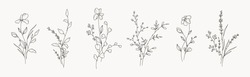 Minimal Drawn Floral Botanical Line Art. Bouquets. Trendy Elements Of Wild And Garden Plants, Branches, Leaves, Flowers, Herbs. Vector Illustration For Logo Or Tattoo, Invitation, Save The Date, Card