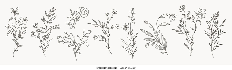 Mínimo dibujo de la línea botánica floral. Bouquets. Elementos de moda de plantas silvestres y de jardín, ramas, hojas, flores, hierbas. Ilustración vectorial para logotipo o tatuaje, invitación, guardar la fecha, tarjeta