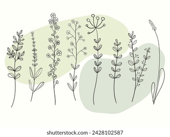Minimal drawn floral botanical line art.flowers, herbs.
