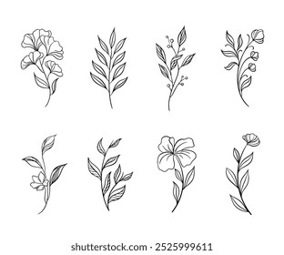 Arte de línea botánica floral dibujado mínimo. Ramos. Conjunto de Elementos aislados de plantas silvestres y de jardín, ramas, hojas, flores, hierbas. Ilustración vectorial para el logotipo o tatuaje, invitación, tarjeta