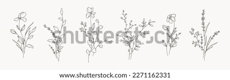 Minimal drawn floral botanical line art. Bouquets. Trendy elements of wild and garden plants, branches, leaves, flowers, herbs. Vector illustration for logo or tattoo, invitation, save the date, card 商業照片 © 