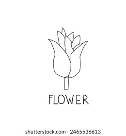 Minimal drawn floral botanical lotus flower logo line art.Abstract line art drawing, Trendy elements of flower, black and white line art icon,Vector illustration minimalist design.
