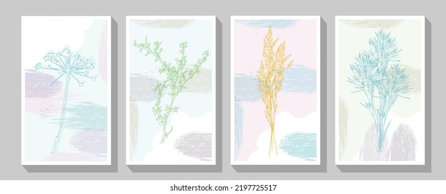 Minimal dried honesty flower invitation card. Vector trendy cover, pastel graphic poster, brochure