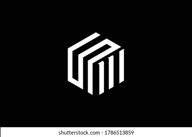 Mínimo y elegante logotipo de arte en monograma. Excelente profesional de moda impresionante artístico SM MS logotipo de icono de Alphabet basado inicialmente en MS. Logo de Premium Business. Color blanco sobre fondo negro