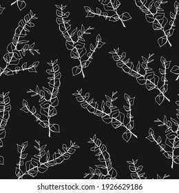 Minimal eucalyptus leaves twig seamless pattern, vector hand drawn illustration isolated on black background