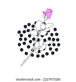 Minimal fashion flat vector illustration. Stylish Pink roses