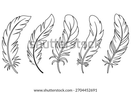Minimal feather collection single line art illustration on white background
