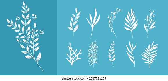 Mínima rama floral botánica femenina al estilo de la silueta. Hierba de bodas dibujada a mano, flores minimalistas con hojas elegantes. Vector de vegetación botánico-rústico de moda