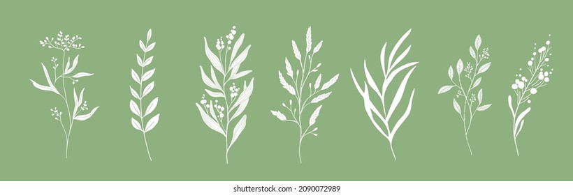 Minimal feminine botanical floral branch in silhouette style. Hand drawn wedding herb, minimalistic flowers with elegant leaves. Botanical rustic trendy greenery vector