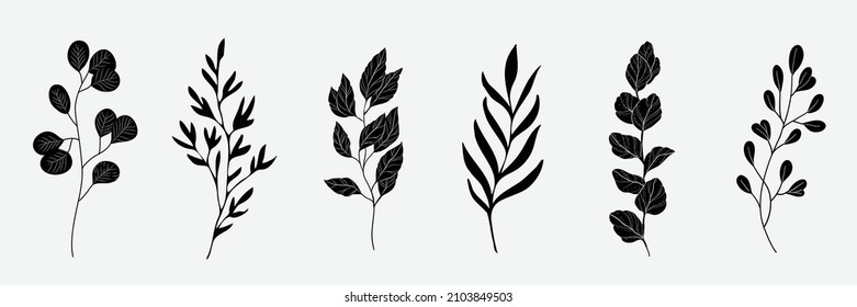 Minimal feminine botanical floral branch in silhouette style. Hand drawn wedding herb, minimalistic flowers with elegant leaves. Botanical rustic trendy greenery vector