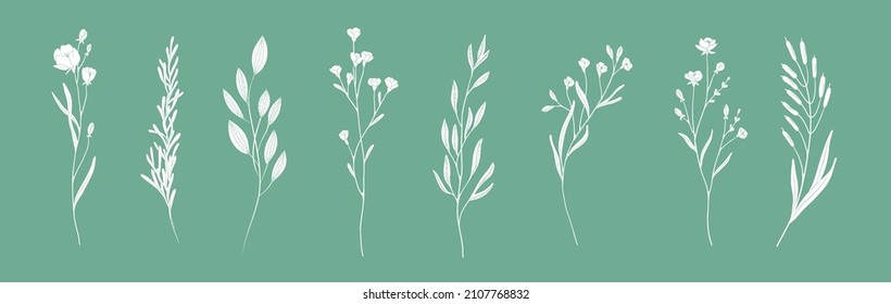 Mínima rama floral botánica femenina al estilo de la silueta. Hierba de bodas dibujada a mano, flores minimalistas con hojas elegantes. Vector de vegetación botánico-rústico de moda