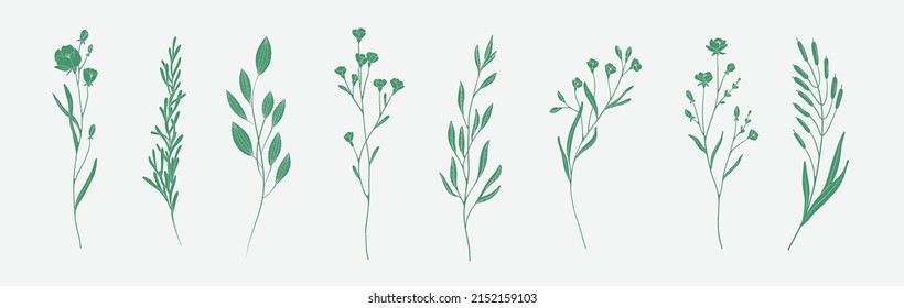 Mínima rama floral botánica femenina al estilo de la silueta. Hierba de bodas dibujada a mano, flores minimalistas con hojas elegantes. Vector de vegetación botánico-rústico de moda