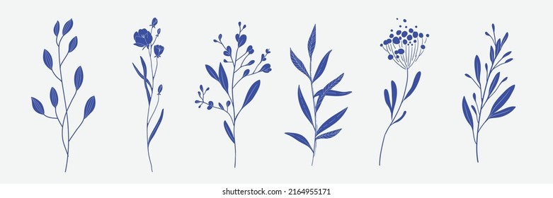 Minimal feminine botanical floral branch in silhouette style. Hand drawn wedding herb, minimalistic flowers with elegant leaves. Botanical rustic trendy greenery vector