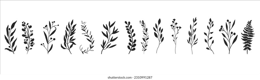 Minimal feminine botanical floral branch in silhouette style. Hand drawn wedding herb, minimalistic flowers with elegant leaves. Botanical rustic trendy greenery vector