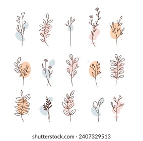 Minimal feminine botanical floral branch in silhouette style. Hand drawn wedding herb, minimalistic flowers with elegant leaves. Botanical rustic trendy greenery vector